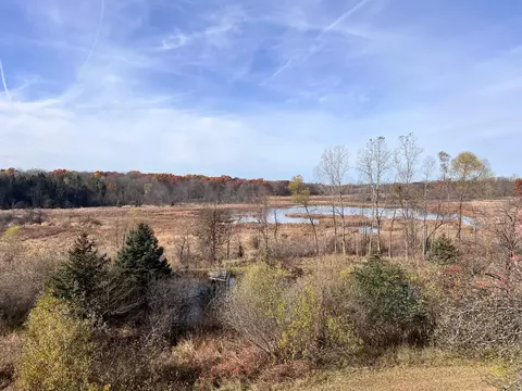 10008 M-52, Perry, MI 48872 photo 37