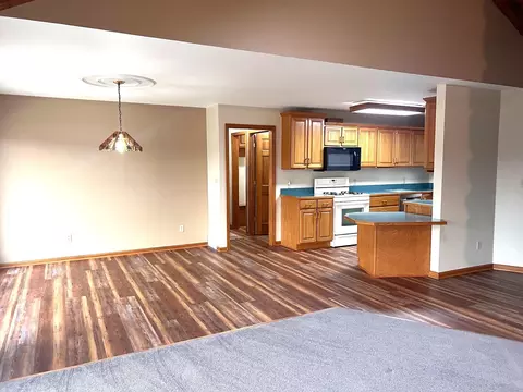 10008 M-52, Perry, MI 48872 photo 11
