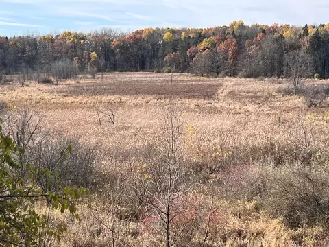 10008 M-52, Perry, MI 48872 photo 39