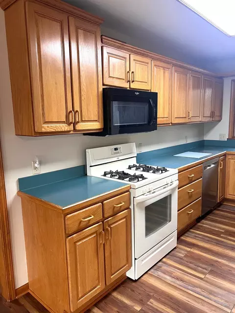 10008 M-52, Perry, MI 48872 photo 14