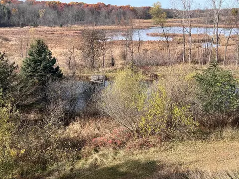 10008 M-52, Perry, MI 48872 photo 38