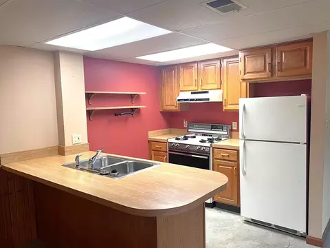 10008 M-52, Perry, MI 48872 photo 29