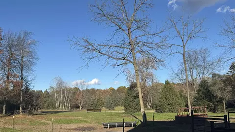 7684 W Beard, Perry, MI 48872 photo 5
