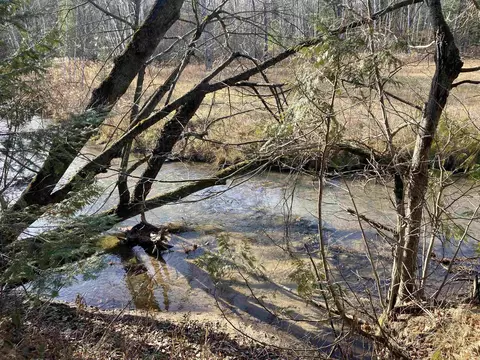 View/Area - 841 Grass Lk, Gladwin, MI 48624 photo 4 of 9