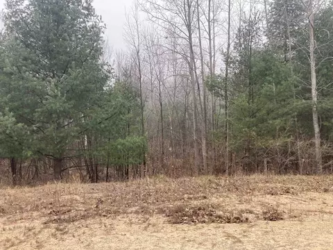 Exterior - 841 Grass Lk, Gladwin, MI 48624 photo 16 of 19