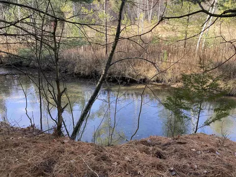 View/Area - 841 Grass Lk, Gladwin, MI 48624 photo 3 of 9