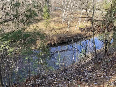 View/Area - 841 Grass Lk, Gladwin, MI 48624 photo 8 of 9