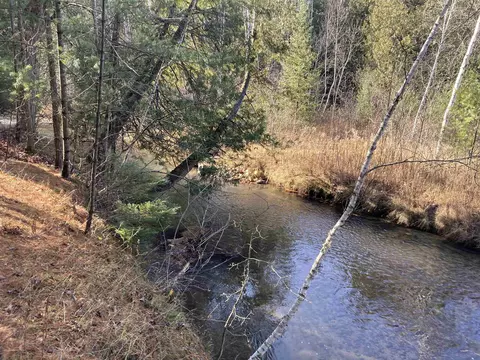 View/Area - 841 Grass Lk, Gladwin, MI 48624 photo 6 of 9