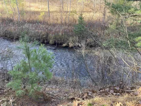 View/Area - 841 Grass Lk, Gladwin, MI 48624 photo 7 of 9