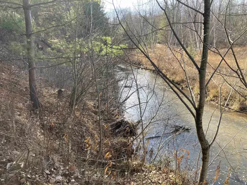 View/Area - 841 Grass Lk, Gladwin, MI 48624 photo 5 of 9