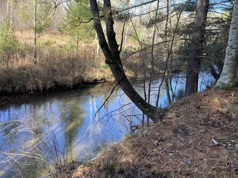View/Area - 841 Grass Lk, Gladwin, MI 48624 photo 9 of 9