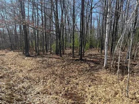 Pineway, Gladwin, MI 48624