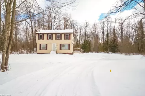 20901 County Road 459, Hillman, MI 49746