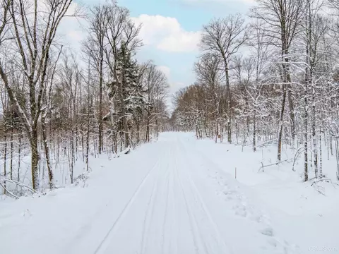 tbd University #LOT 2, Iron River, MI 49935