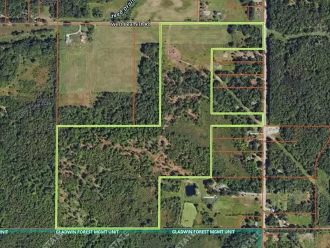 77 Acres Beamish, Coleman, MI 48618
