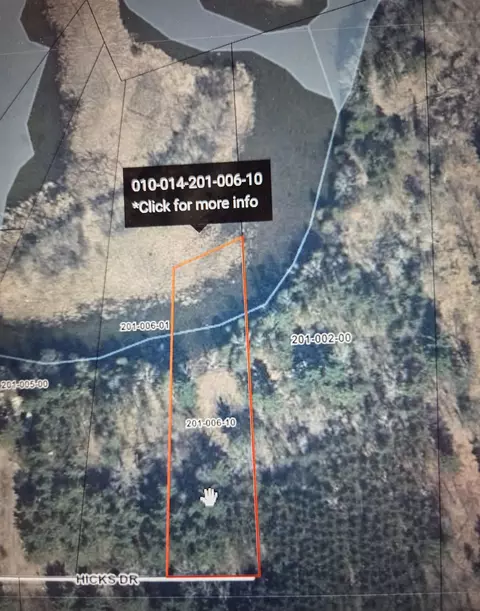 Hicks, Beaverton, MI 48612