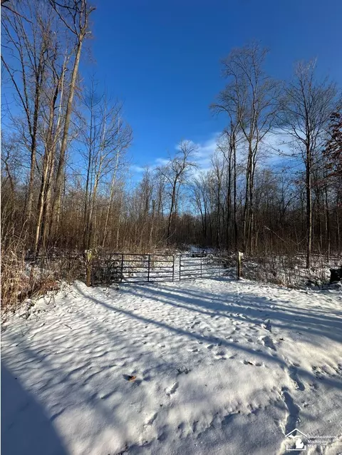 Hivon, Maybee, MI 48159