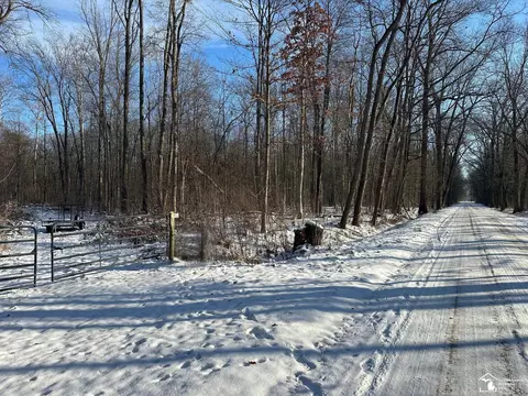 Hivon, Maybee, MI 48159 photo 2
