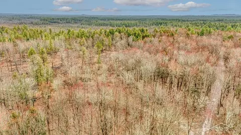 n948 Old Plank Road, Wetmore, MI 49895