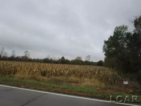 13002 Bartlett, Clinton, MI 49236