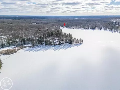 5503 Andrew, Harrison, MI 48625 photo 45