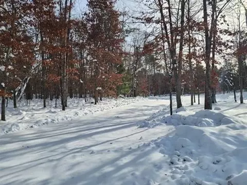 10775 Pocahontas, Roscommon, MI 48653