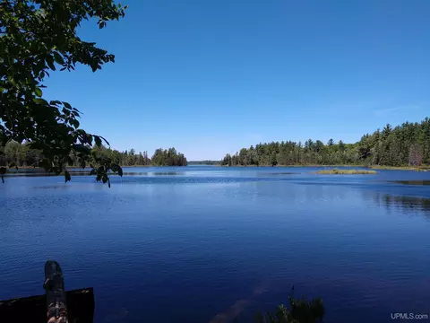 Off Forest Rd 3612, Stambaugh, MI 49935 photo 5