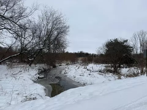 Vacant Land Tyrrell, Owosso, MI 48867