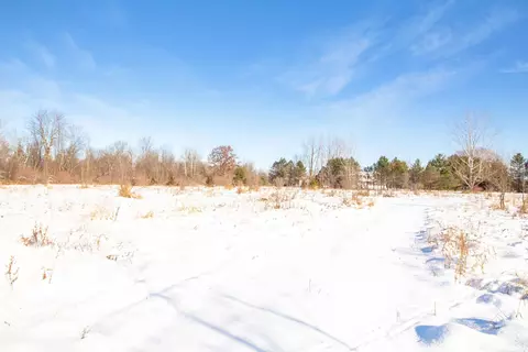 9936 Webb, Goodells, MI 48027 photo 4