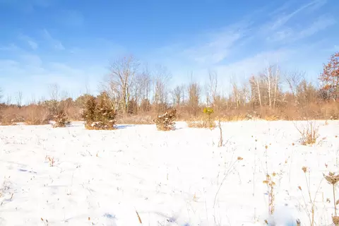 9936 Webb, Goodells, MI 48027 photo 6