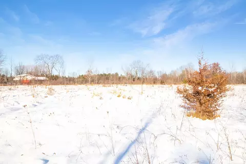 9936 Webb, Goodells, MI 48027 photo 5