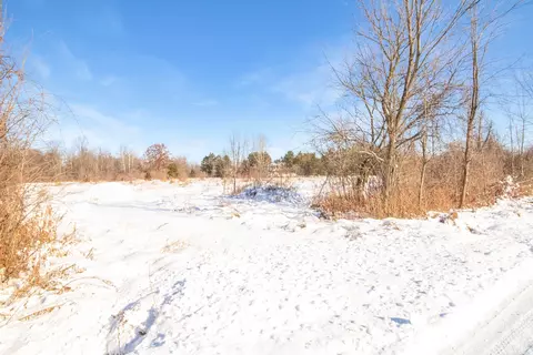 9936 Webb, Goodells, MI 48027 photo 2