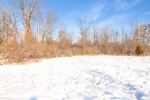 9936 Webb, Goodells, MI 48027 photo 7
