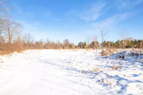 9936 Webb, Goodells, MI 48027 photo 3