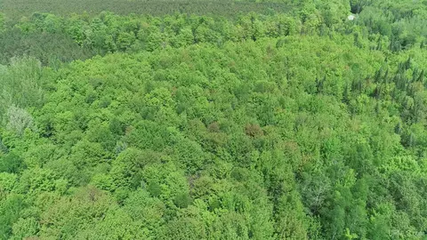 80 Acres Off Carlson, Manistique, MI 49854