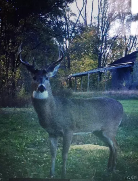 Other - 3110 Crabtree, Tecumseh, MI 49286 photo 21 of 21