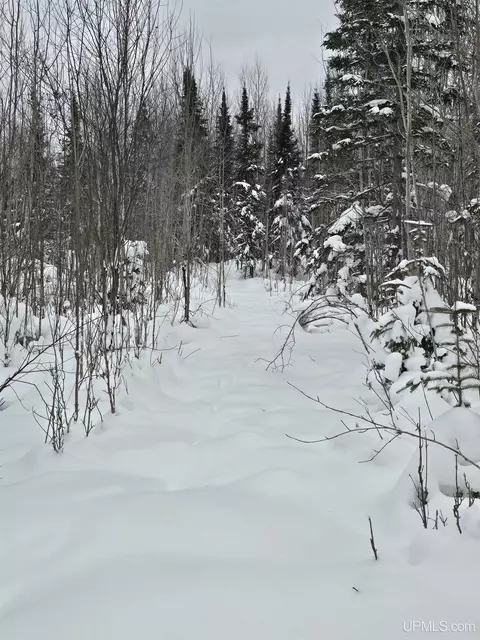 tbd Parcel 1 Townline, L'anse, MI 49946 photo 35