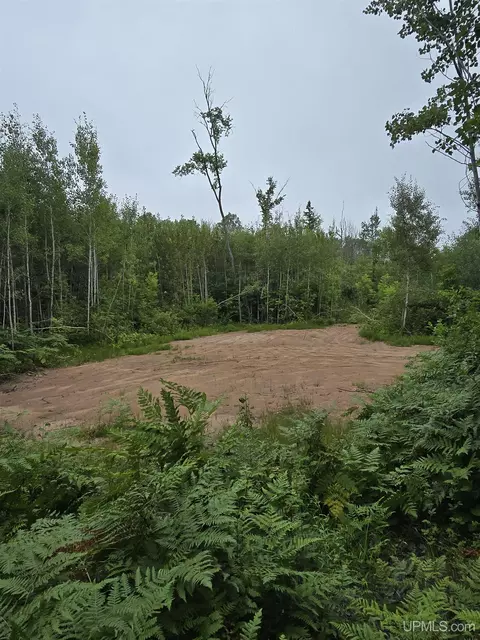 tbd Parcel 1 Townline, L'anse, MI 49946 photo 11
