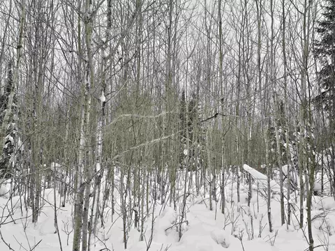 tbd Parcel 1 Townline, L'anse, MI 49946 photo 36