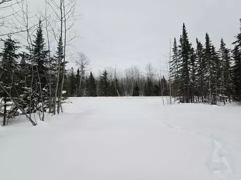 tbd Parcel 1 Townline, L'anse, MI 49946 photo 27