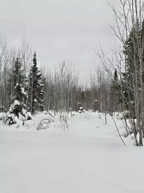 tbd Parcel 1 Townline, L'anse, MI 49946 photo 30