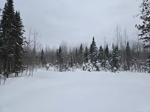 tbd Parcel 1 Townline, L'anse, MI 49946 photo 28