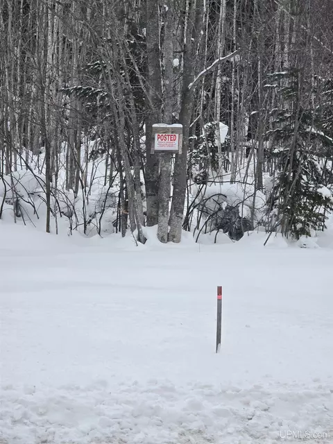 tbd Parcel 1 Townline, L'anse, MI 49946 photo 39