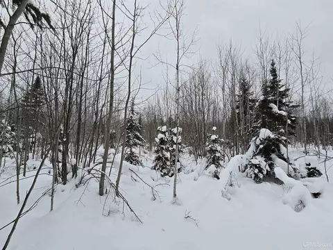 tbd Parcel 1 Townline, L'anse, MI 49946 photo 31