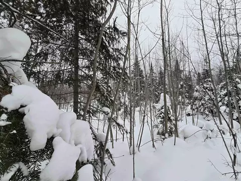 tbd Parcel 1 Townline, L'anse, MI 49946 photo 33
