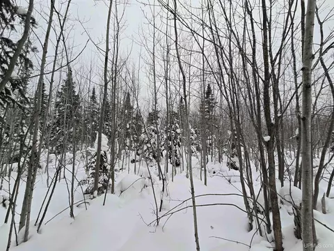 tbd Parcel 1 Townline, L'anse, MI 49946 photo 32