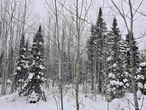 tbd Parcel 1 Townline, L'anse, MI 49946 photo 37