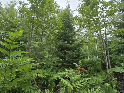 tbd Parcel 1 Townline, L'anse, MI 49946 photo 18