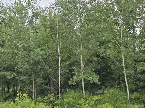 tbd Parcel 1 Townline, L'anse, MI 49946 photo 13