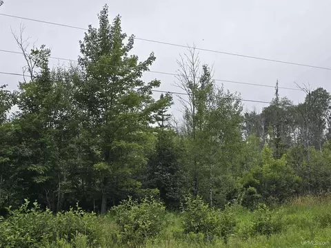 tbd Parcel 1 Townline, L'anse, MI 49946 photo 12